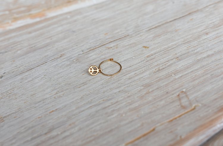 Little Charm Single Hoop